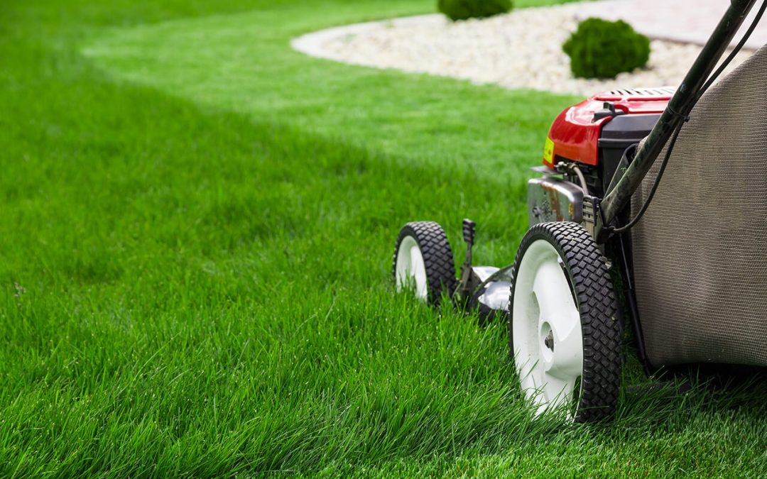 moving grass for summer lawn care