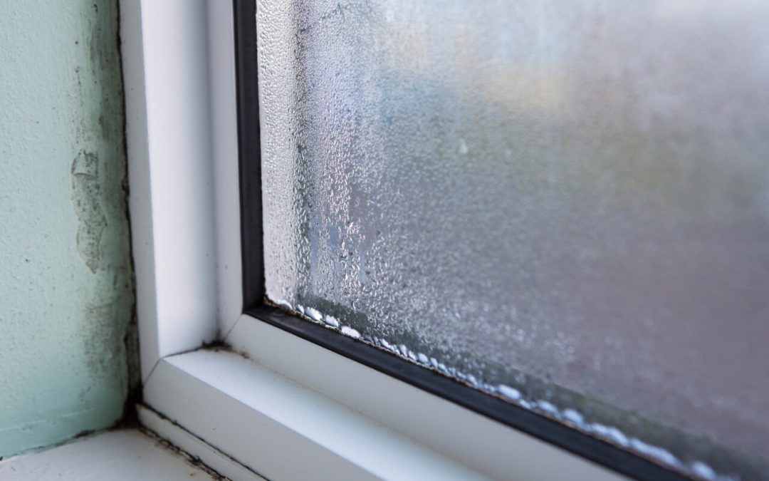 mold in the home can be caused by condensation