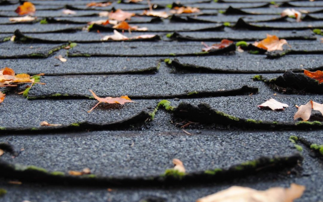 Easy Guidelines for Yearly Roof Maintenance