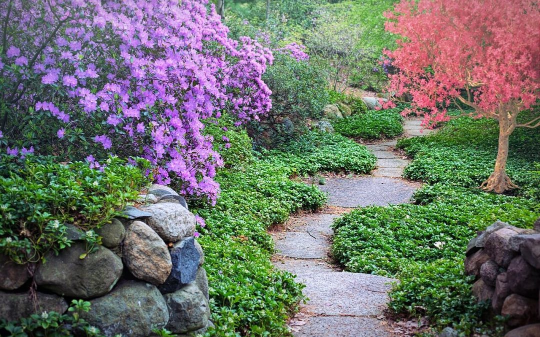 Add Value to Your Property: 4 Benefits of Hardscaping